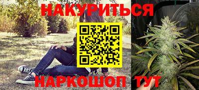 спиды Дубна