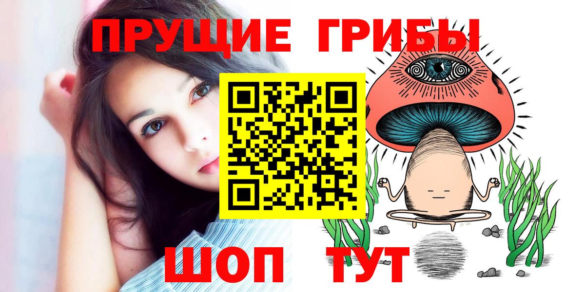 Мурино  Псилоцибиновые грибы GOLDEN TEACHER  Вход с VPN 