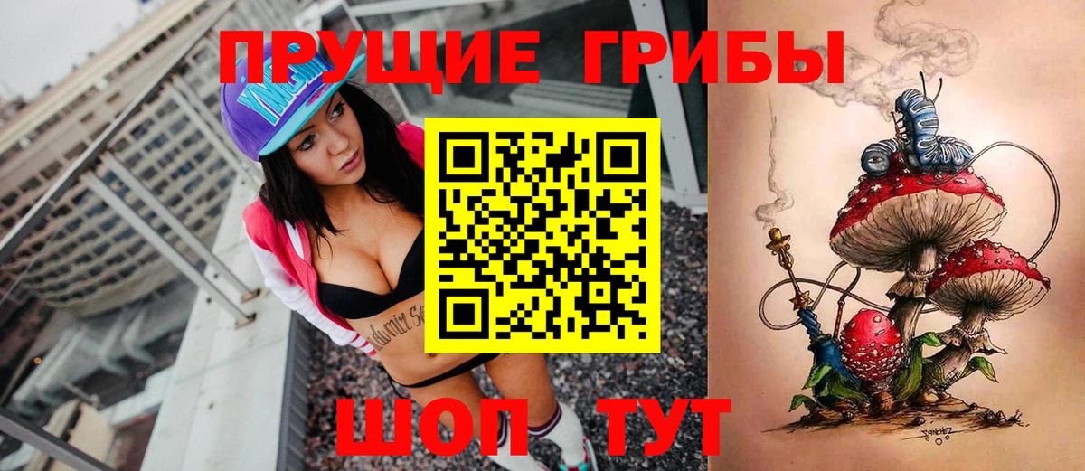 Псилоцибиновые грибы мицелий Мурино